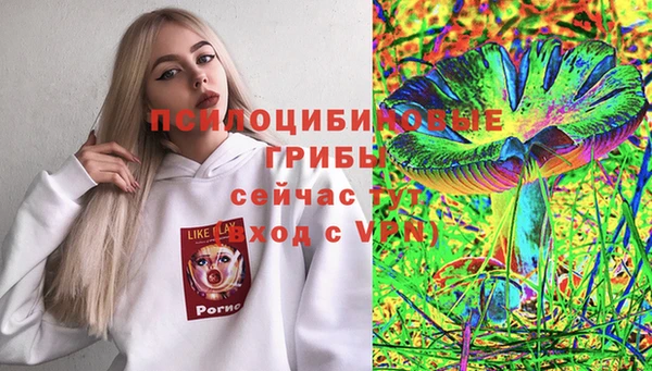 каннабис Инта