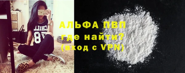 spice Инсар