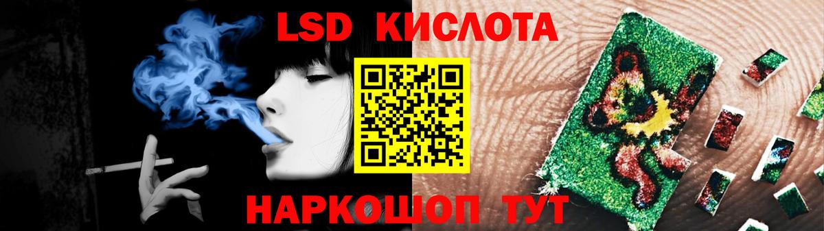 mega как зайти  Вход с VPN  LSD-25 экстази ecstasy  Бердск  Лсд 25 экстази ecstasy 