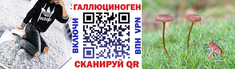 дарк нет какой сайт  Бердск  Галлюциногенные грибы MAGIC MUSHROOMS 