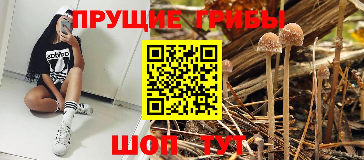Псилоцибиновые грибы Magic Shrooms Бердск